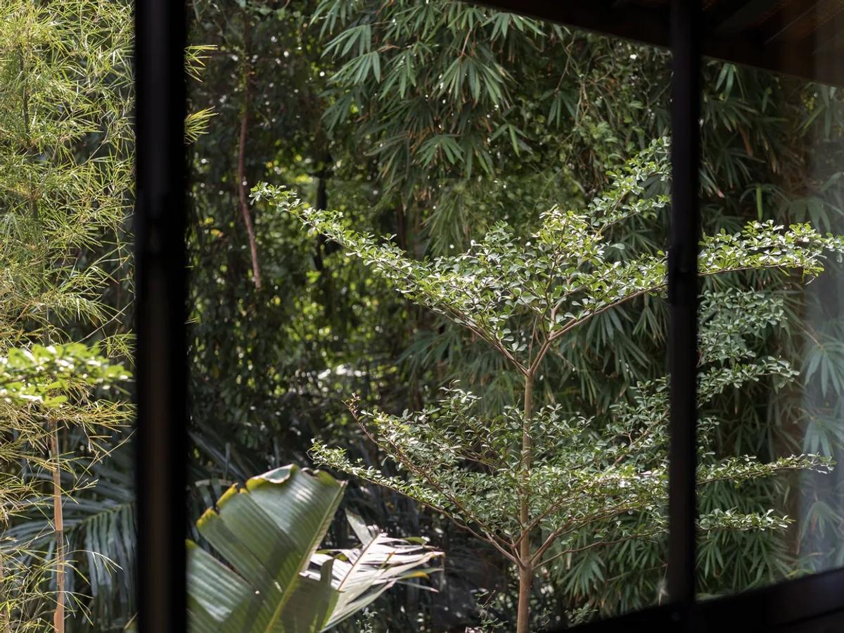 RIVERLINE VILLA WITH LOCAL STYLE - 3 BEDROOM - UBUD - Photo 10