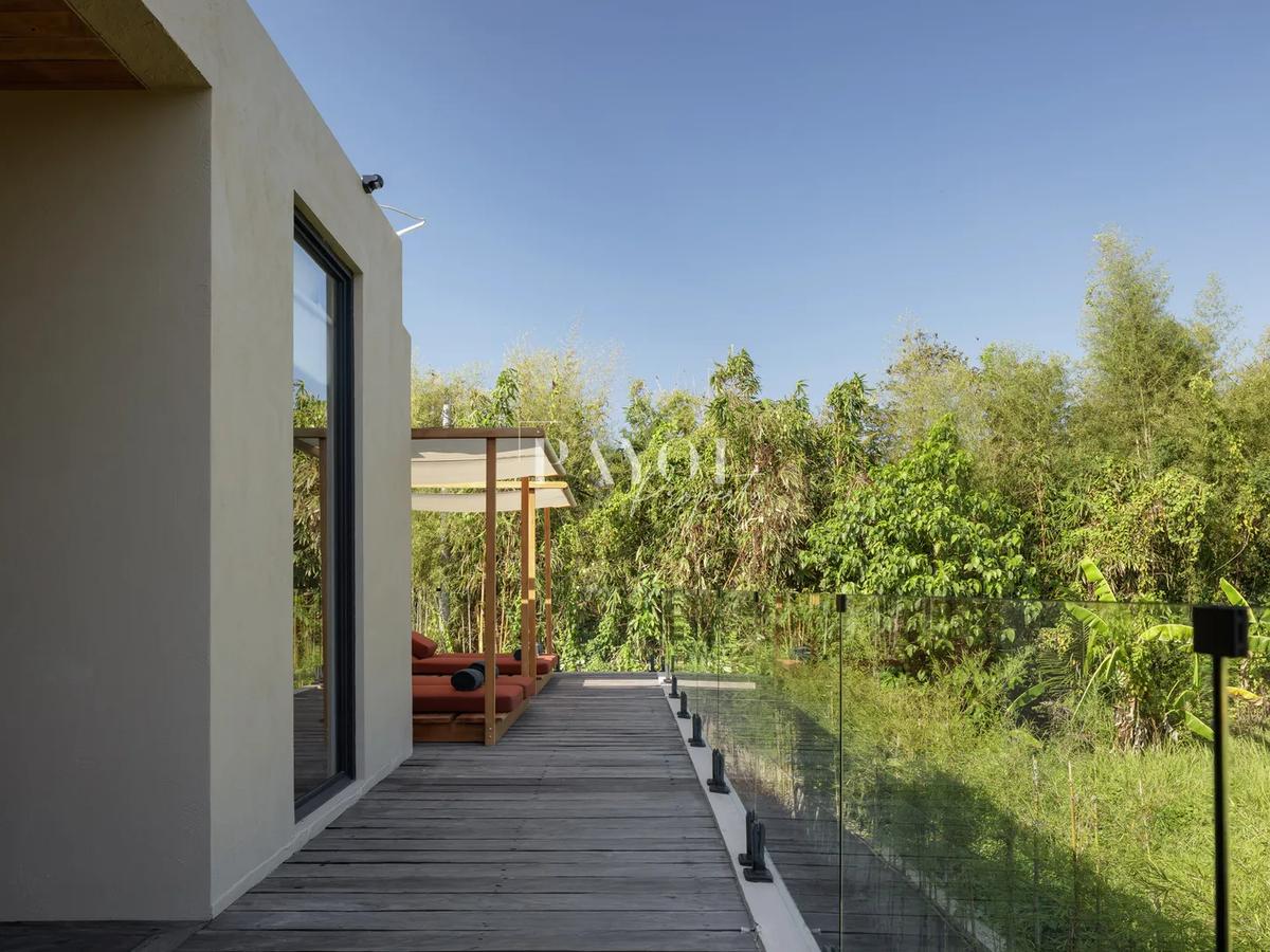 Raw Elegence By The Rice Fields - 7