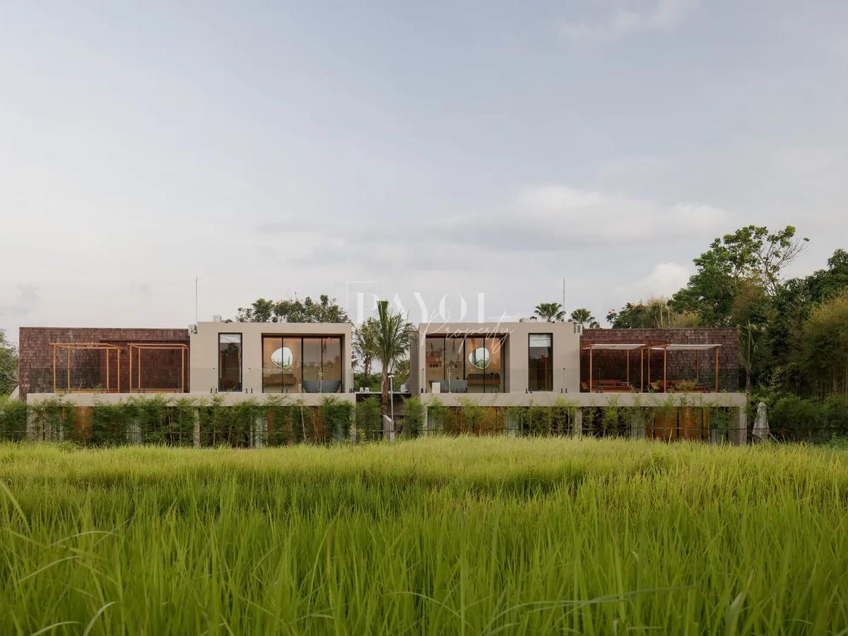 Raw Elegence By The Rice Fields - 15