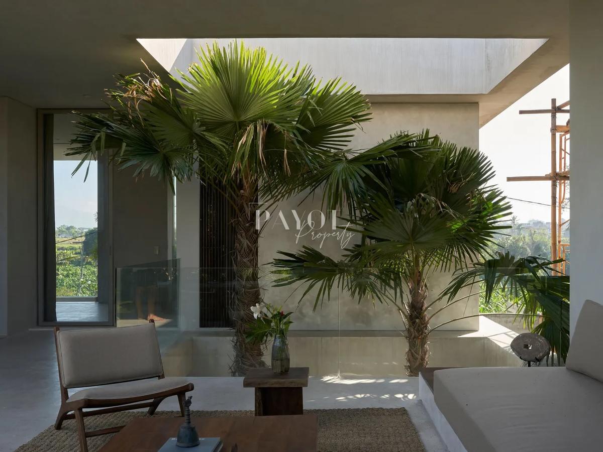 Concrete Lines And Lush Silence - 12