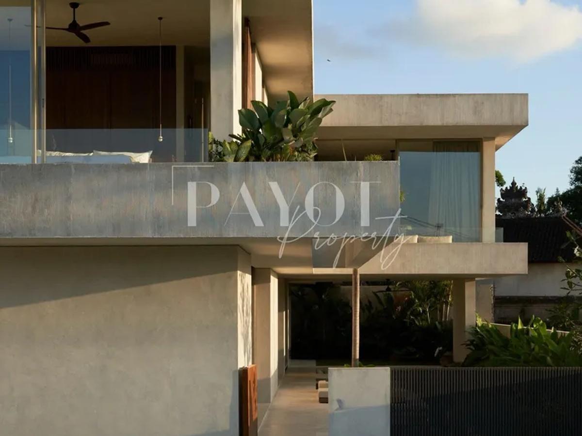 Concrete Lines And Lush Silence - 2