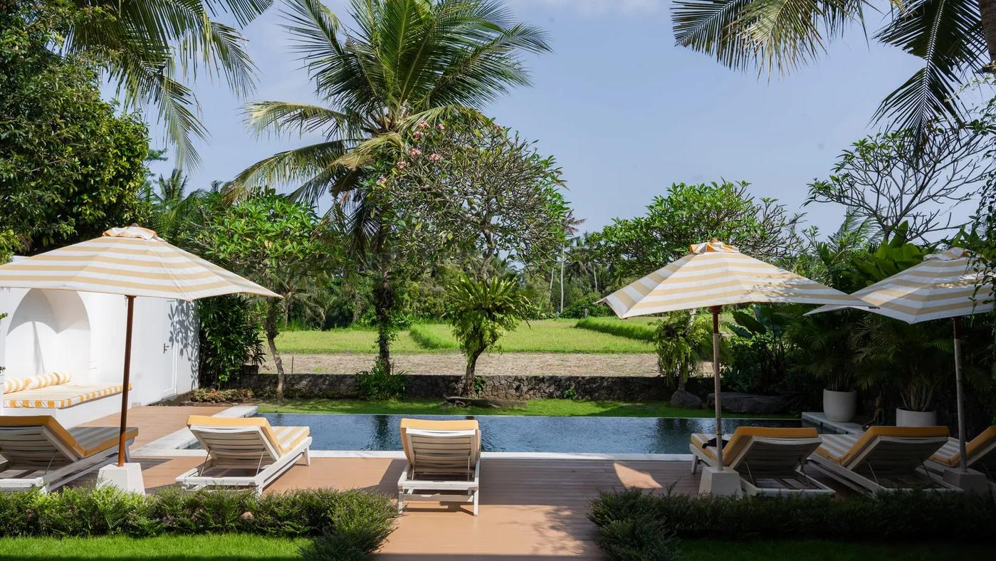 Contemporary Sactuary Framed By Nature - Photo 1