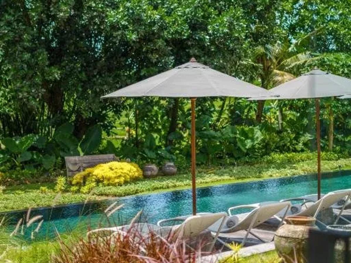 Stunning Architectural Villa With Garden - 8