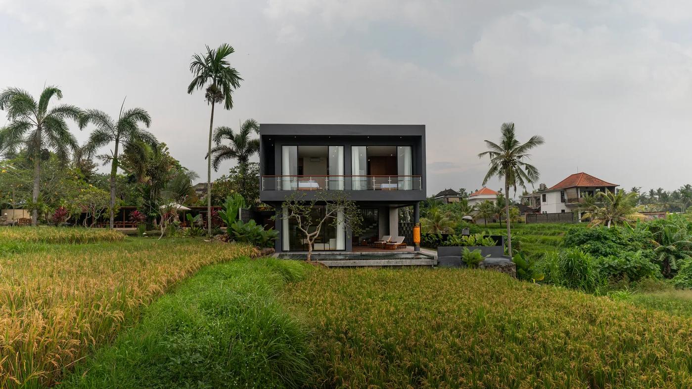 Contemporary Living Surrounded By Nature - Photo 1