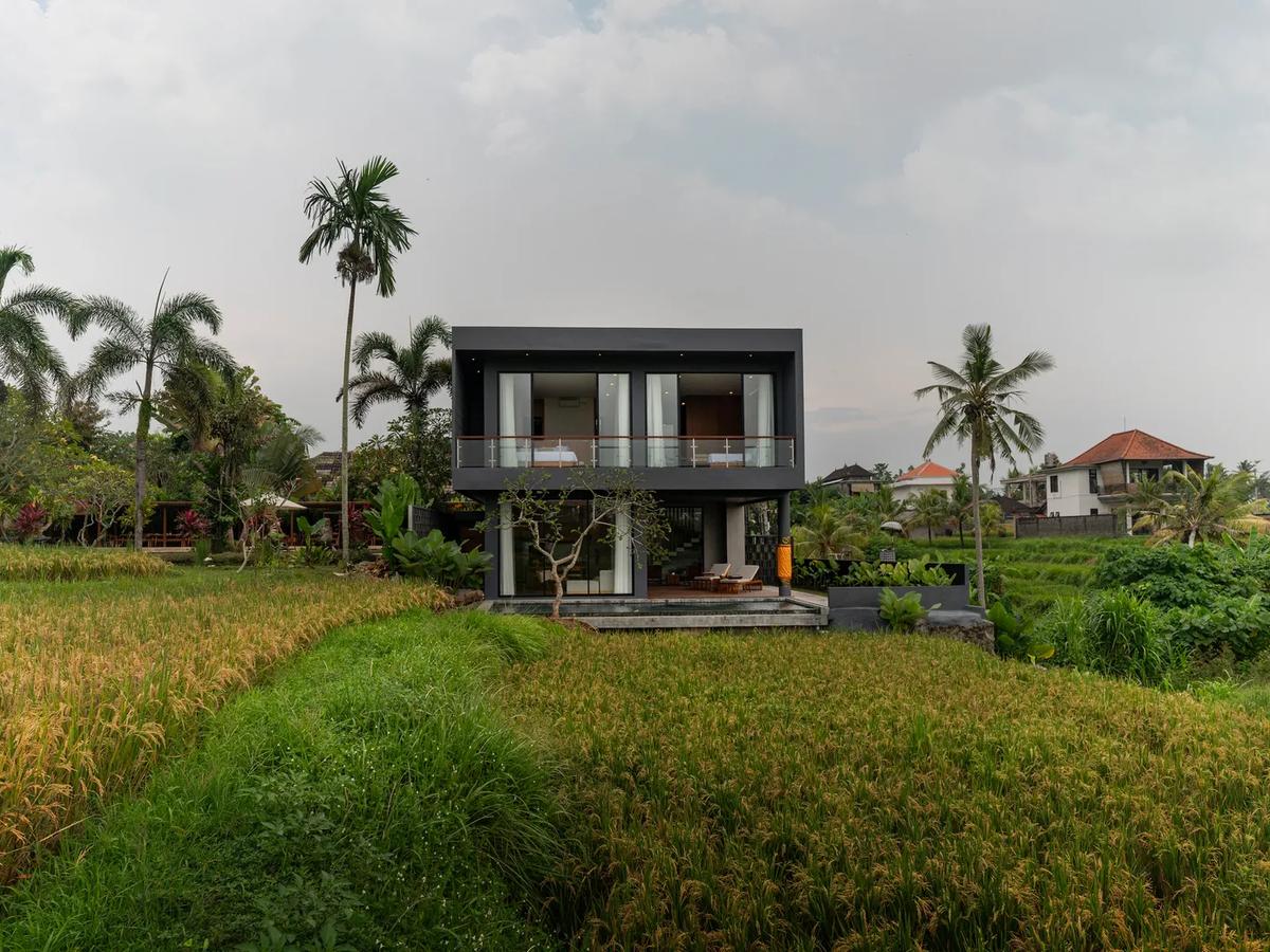 Contemporary Living Surrounded By Nature - 1