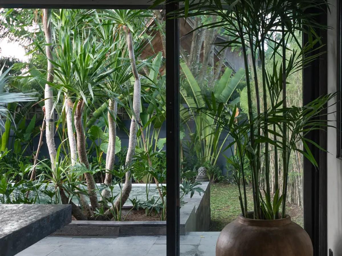 Modern Joglo Sanctuary - 7