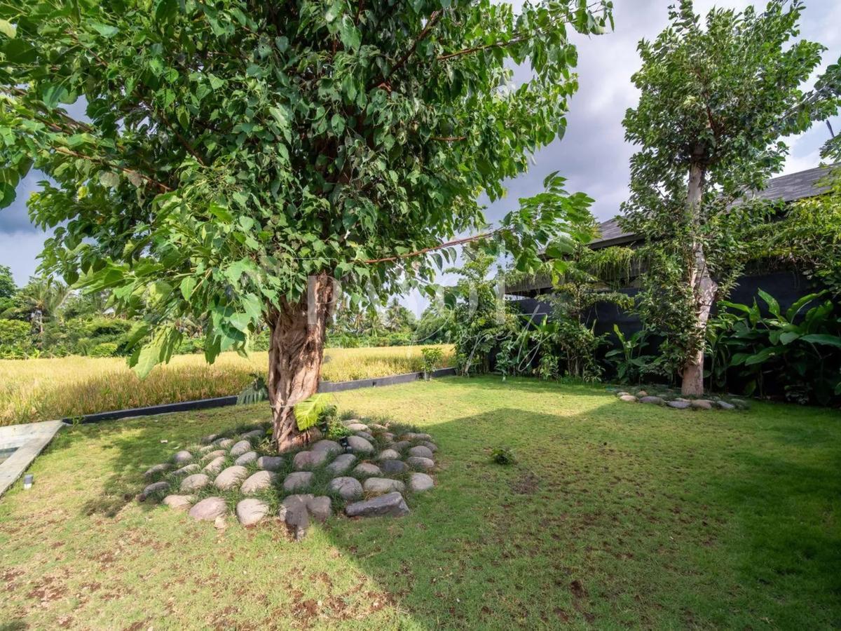 Modern Glass Villa - 6