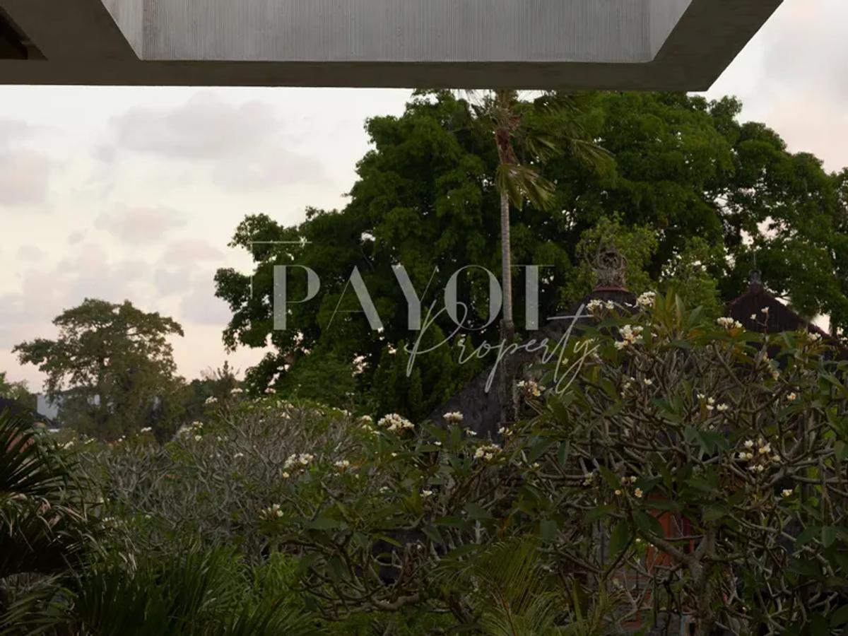 Concrete Lines And Lush Silence - 3