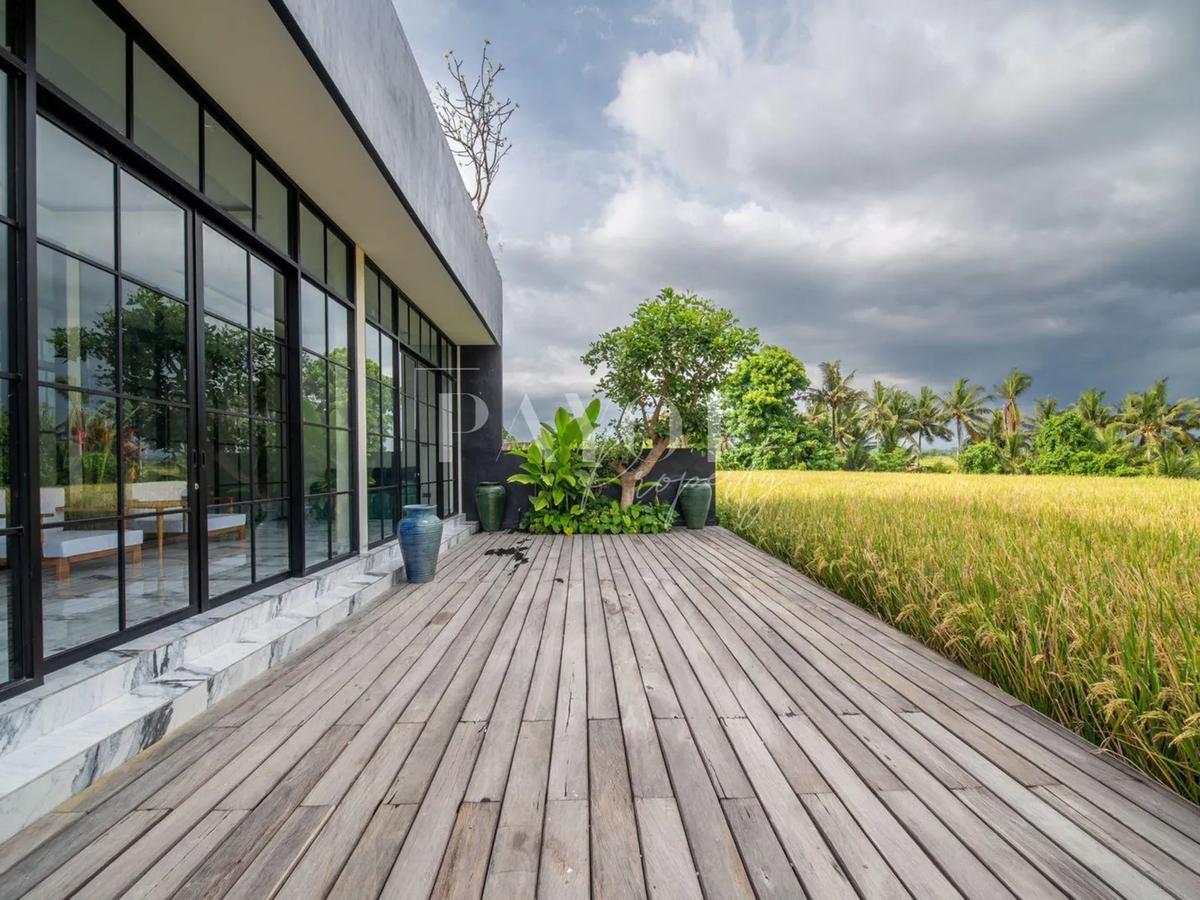 Modern Glass Villa - 4