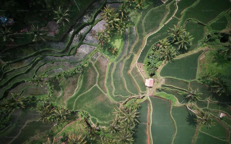 Aerial view of Bali rice terraces - Best areas to invest in Bali real estate