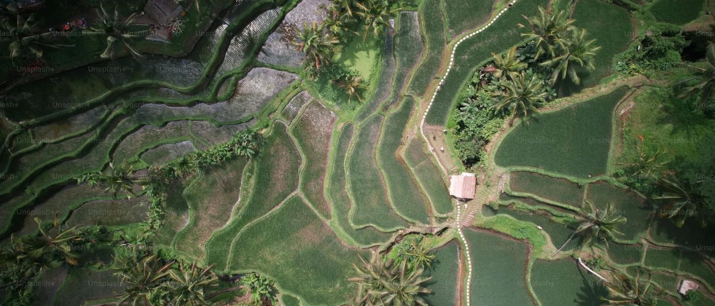 Aerial view of Bali rice terraces - Best areas to invest in Bali real estate