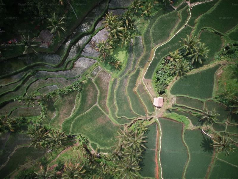 Best Areas to Invest in Bali Real Estate in 2026: Location Guide