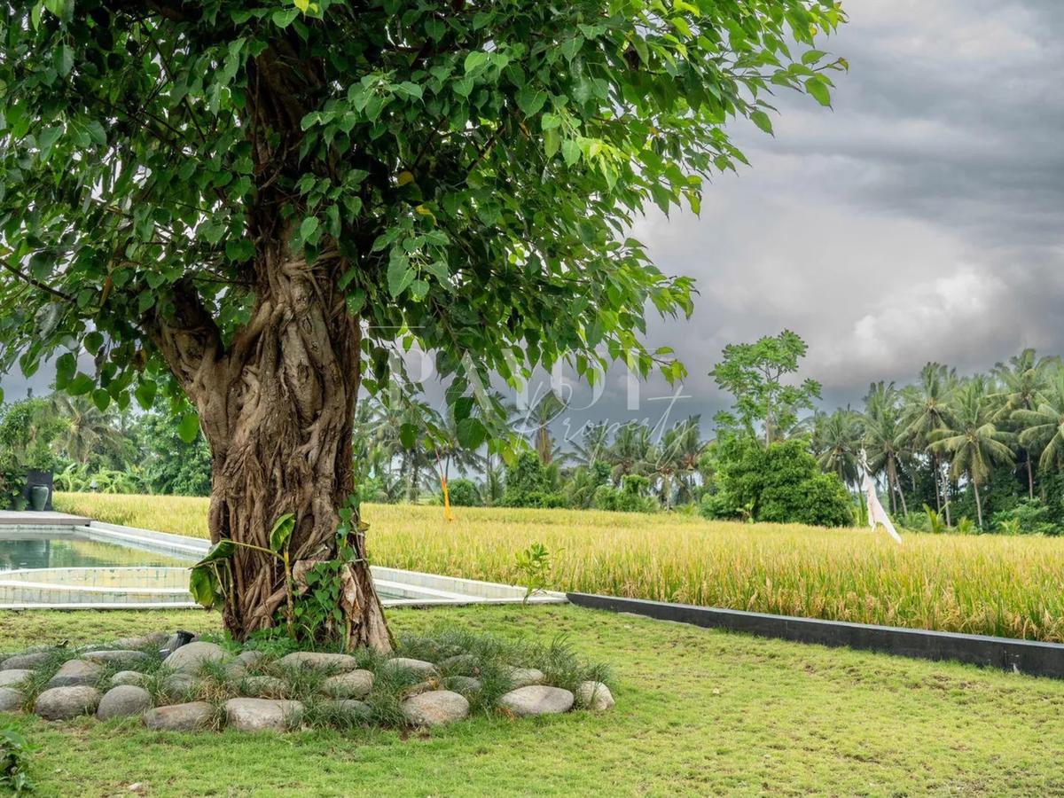 Modern Glass Villa - 5