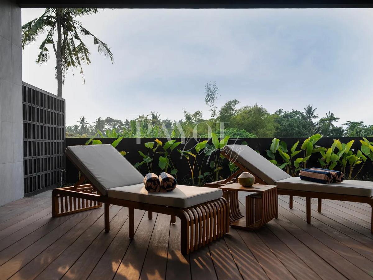 Contemporary Living Surrounded By Nature - 5