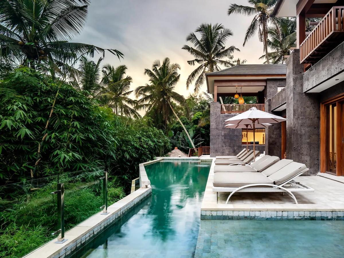 Villa Jungle High - 1