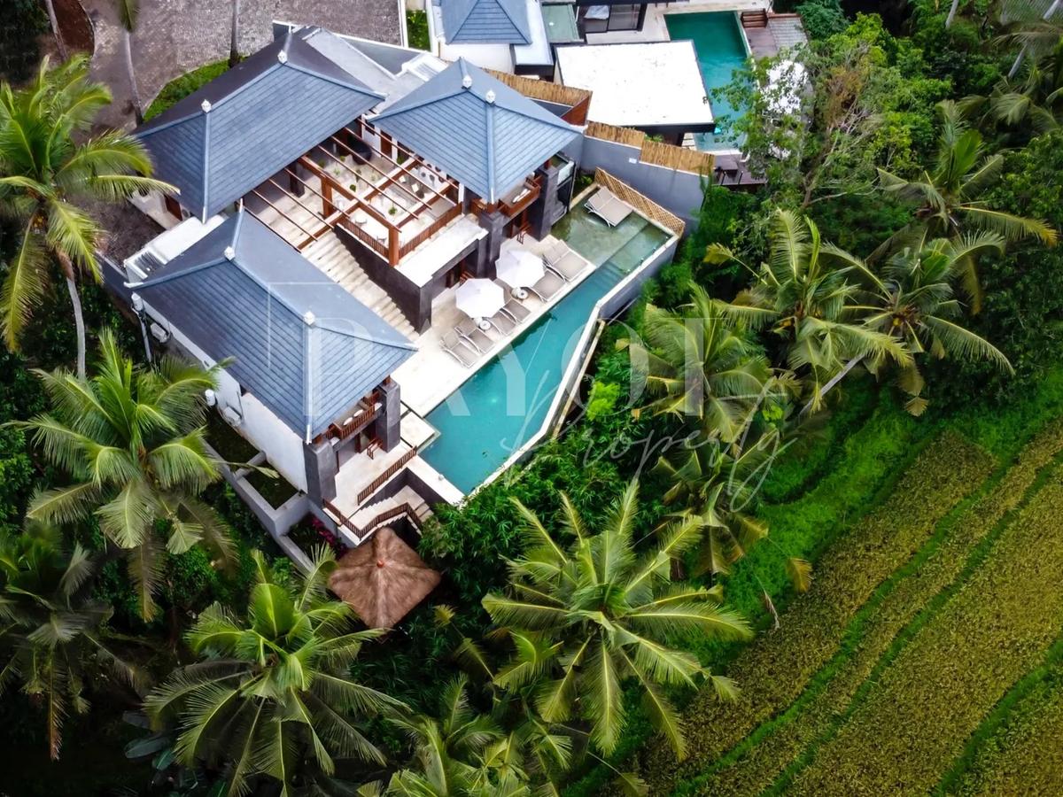 Villa Jungle High - 6