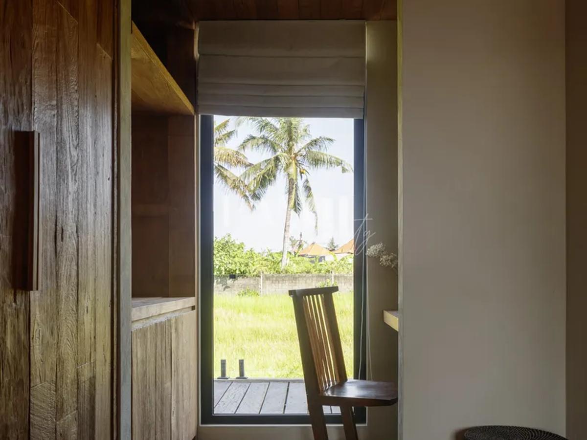 Raw Elegence By The Rice Fields - 9