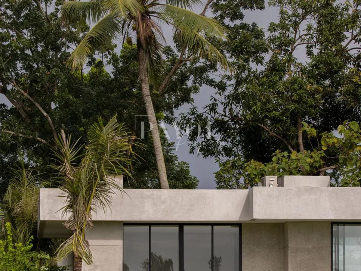 The Linear Retreat Villa - 3