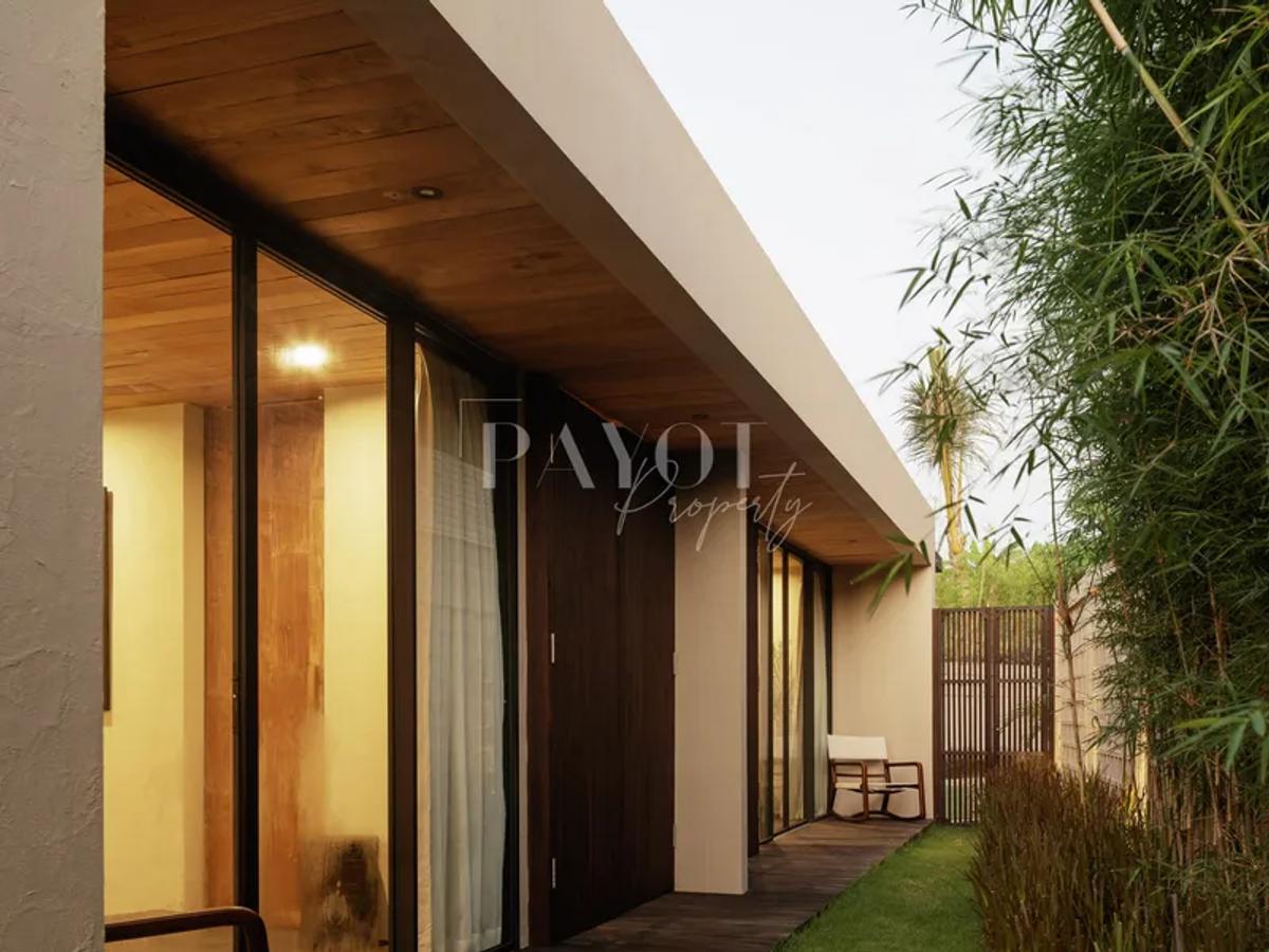 Raw Elegence By The Rice Fields - 5