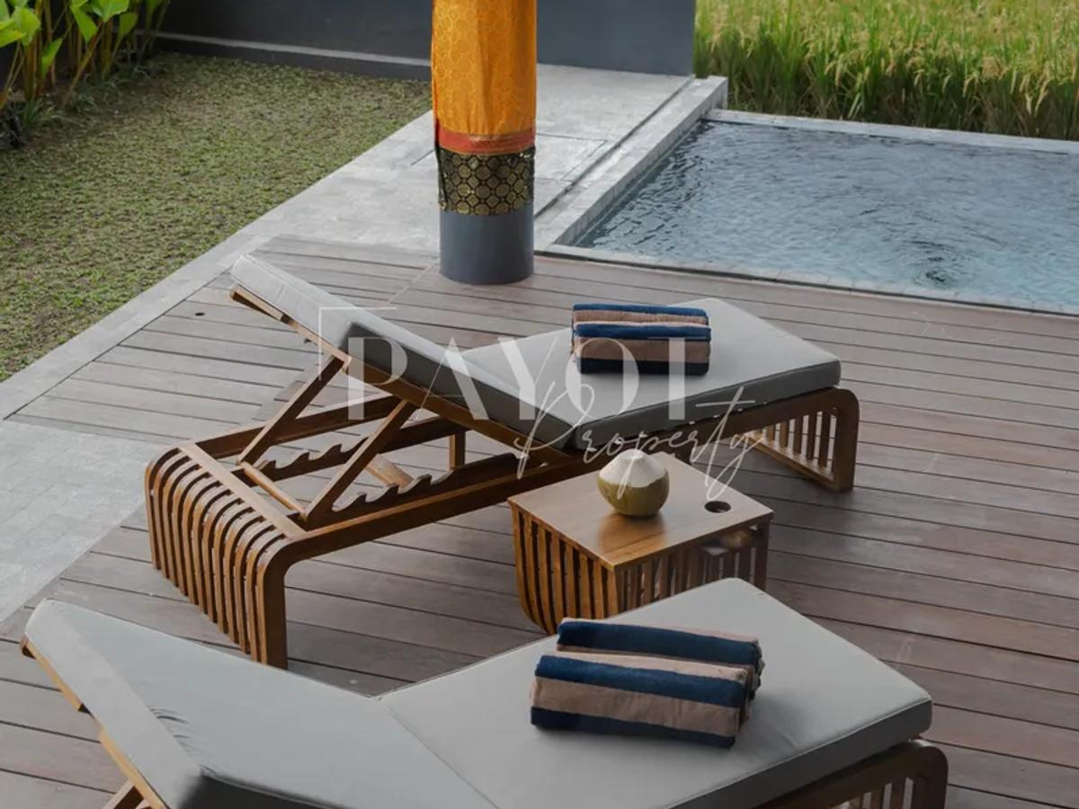 Contemporary Living Surrounded By Nature - 4