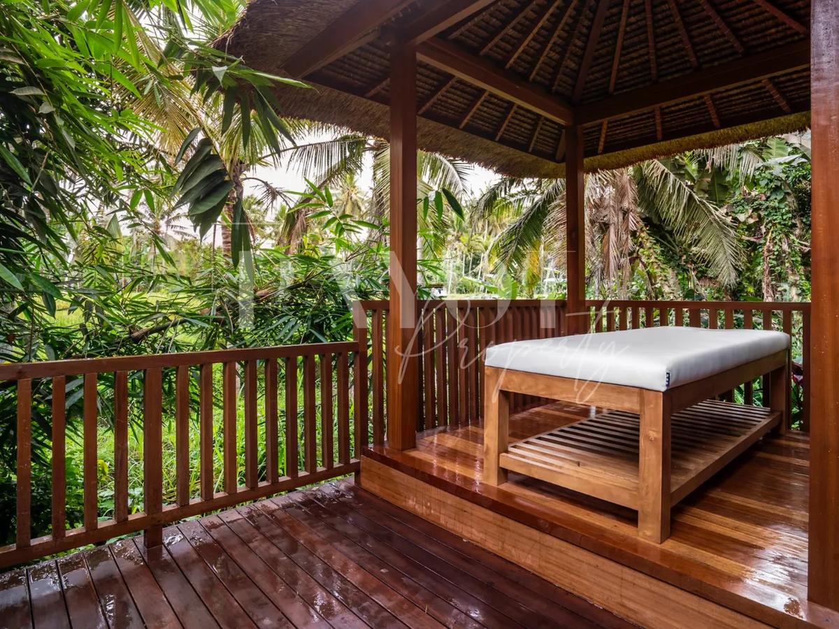 Villa Jungle High - 8