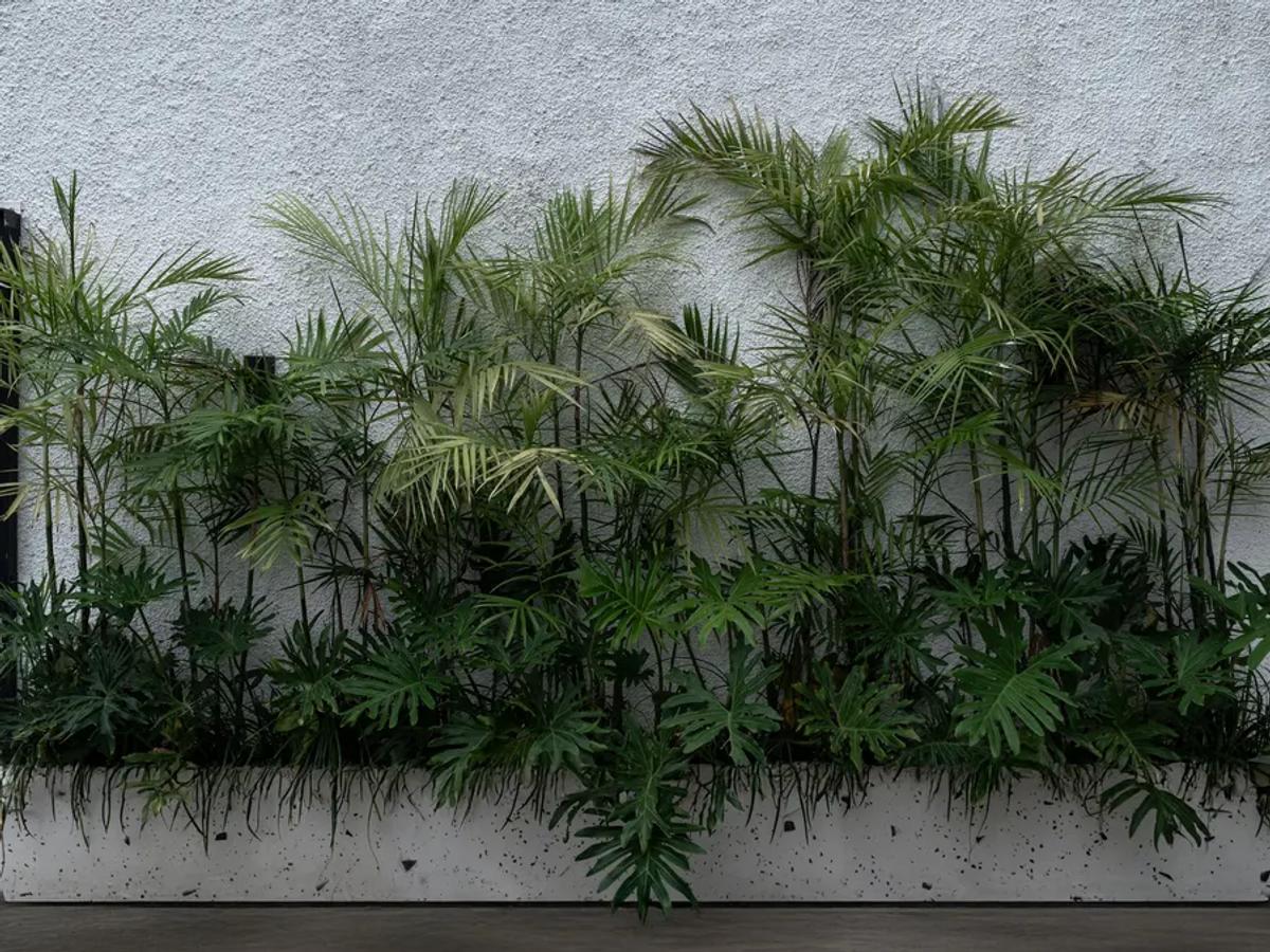 Monochrome Geometry Villa - 5