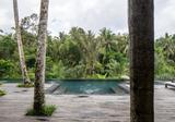 JAPANESE BRUTALIST VILLA - 5 BEDROOM - UBUD - Photo 10