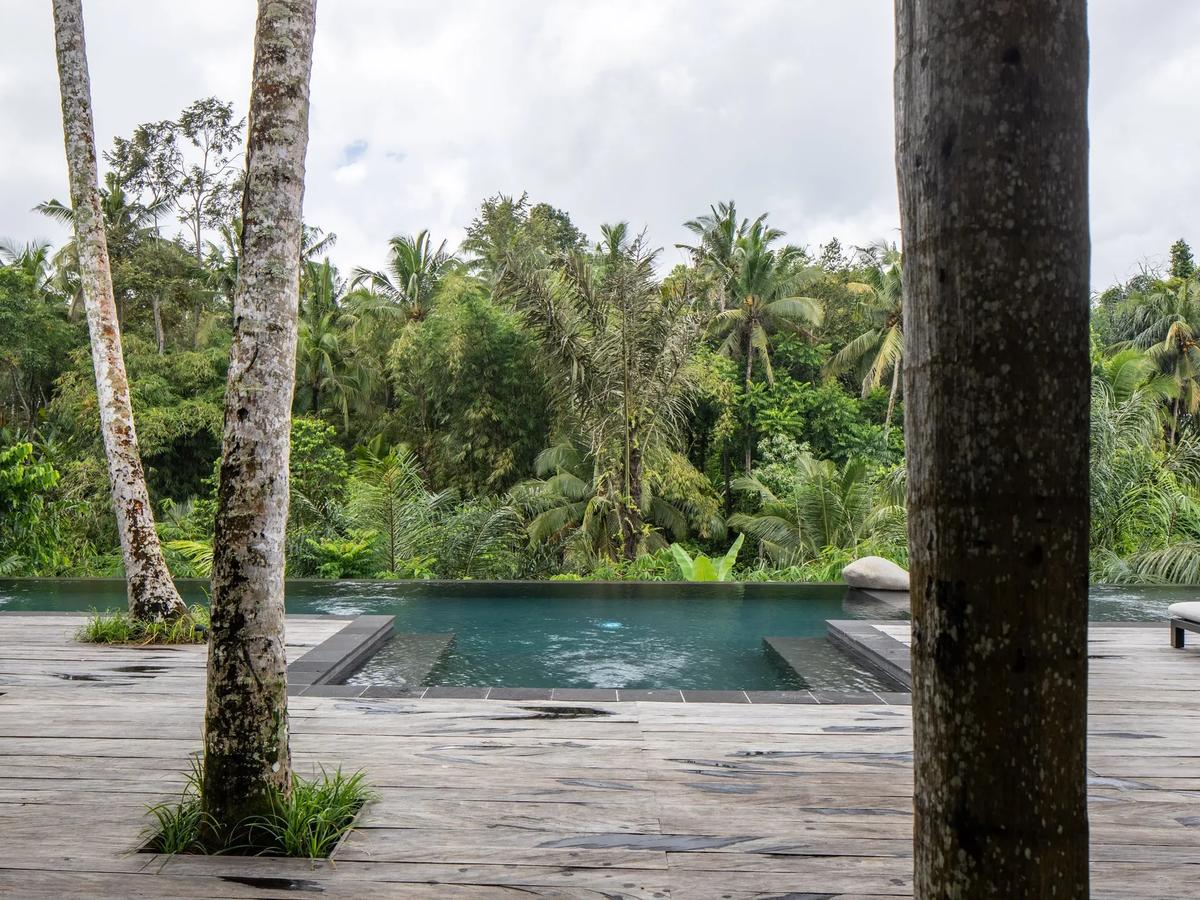 JAPANESE BRUTALIST VILLA - 5 BEDROOM - UBUD - Photo 10