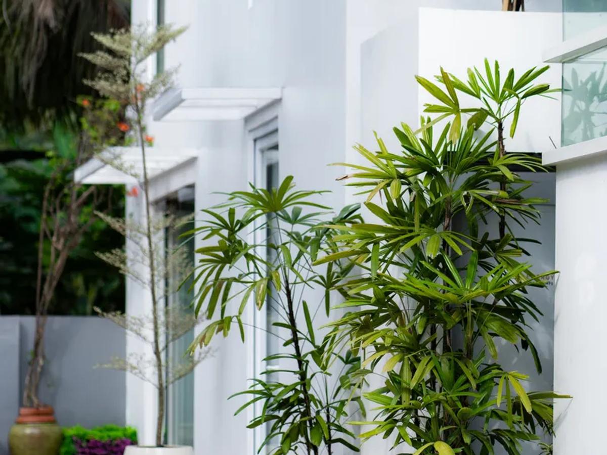 Contemporary Sactuary Framed By Nature - 11