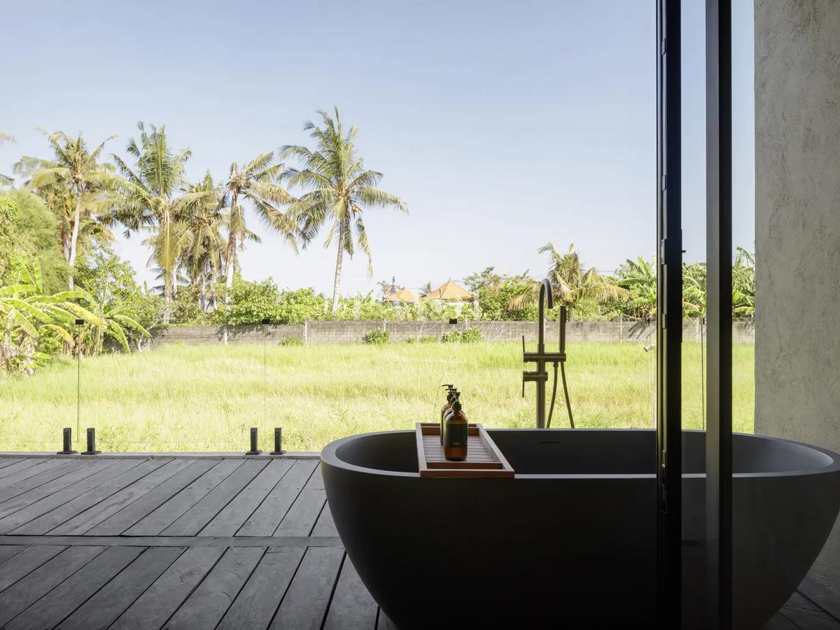 Raw Elegence By The Rice Fields - 11