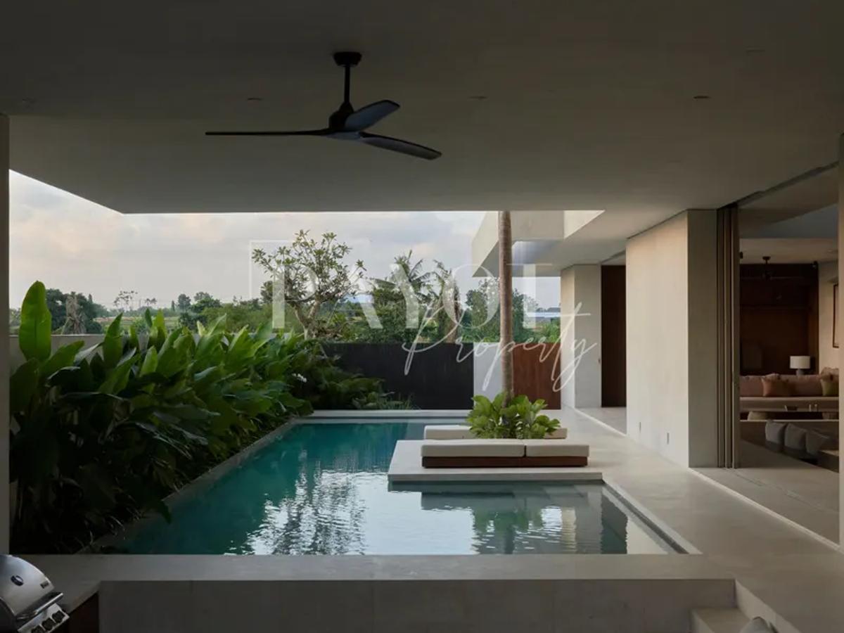 Concrete Lines And Lush Silence - 4