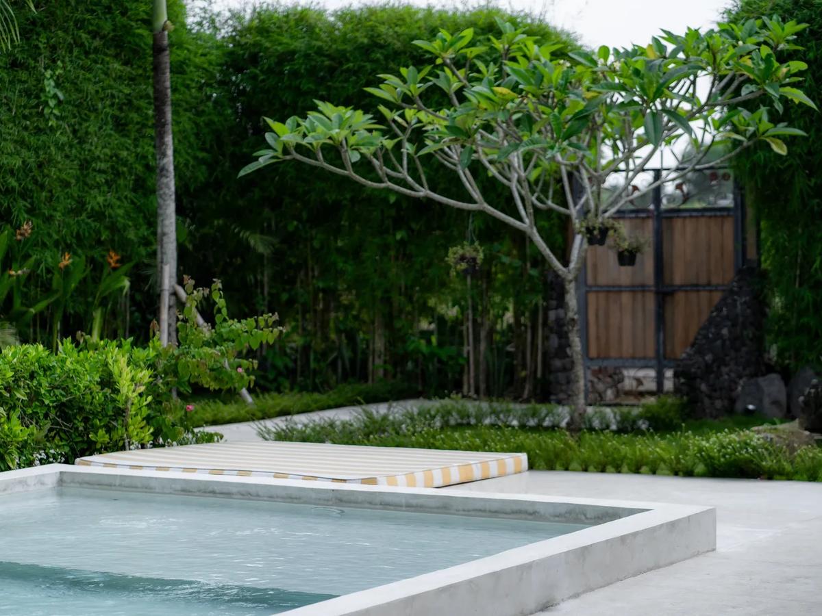 Contemporary Sactuary Framed By Nature - 5