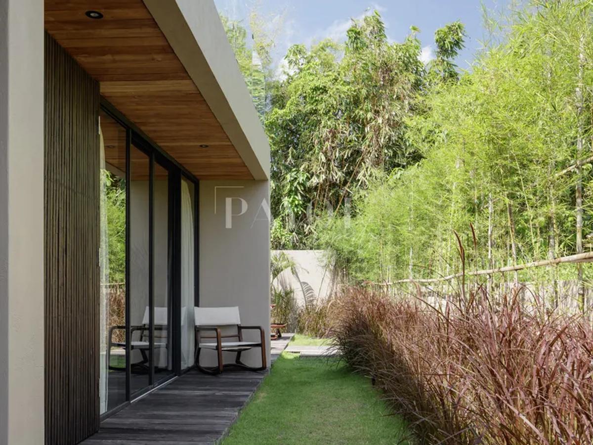 Raw Elegence By The Rice Fields - 4