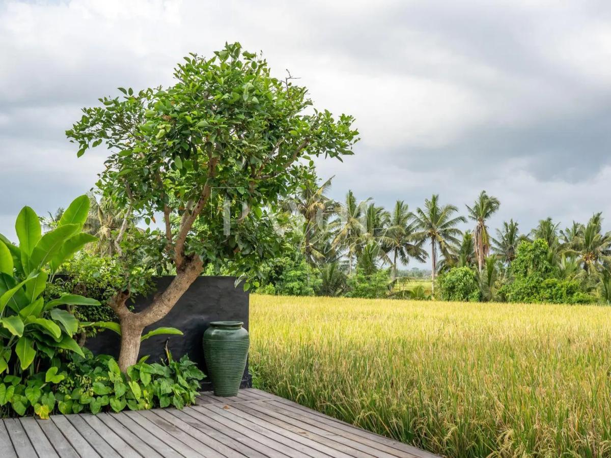 Modern Glass Villa - 7