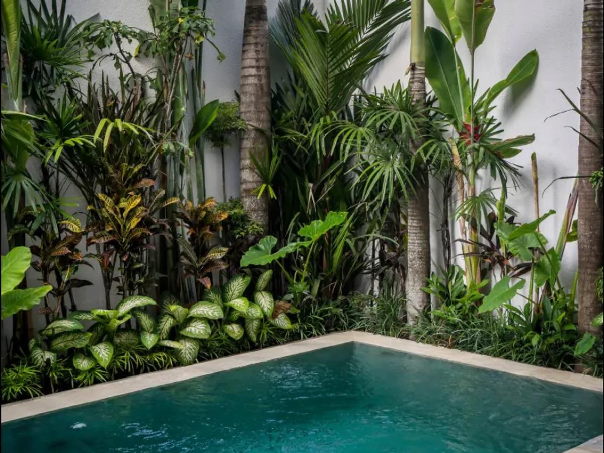 Contemporary Villa Retreat - 4