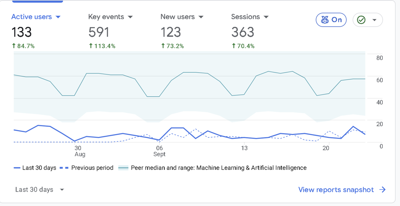 google analitics screensot