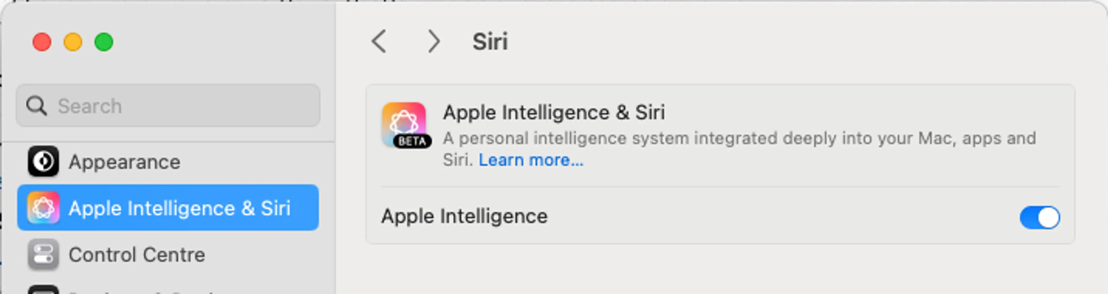 Opt-in to use Apple Intelligence features