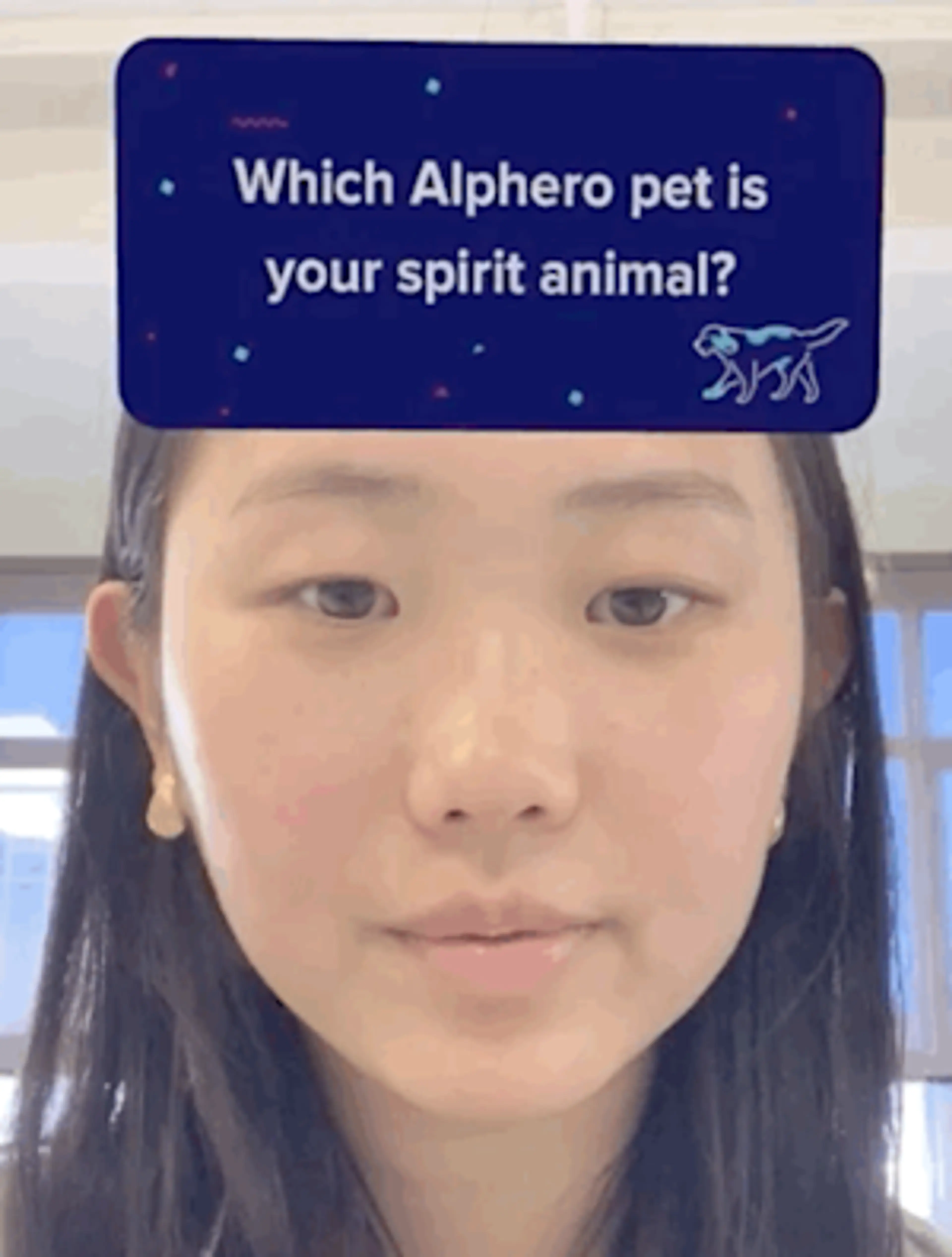 Woman with a Spark AR tile above her forehead "Which Alphero pet is your spirit animal"