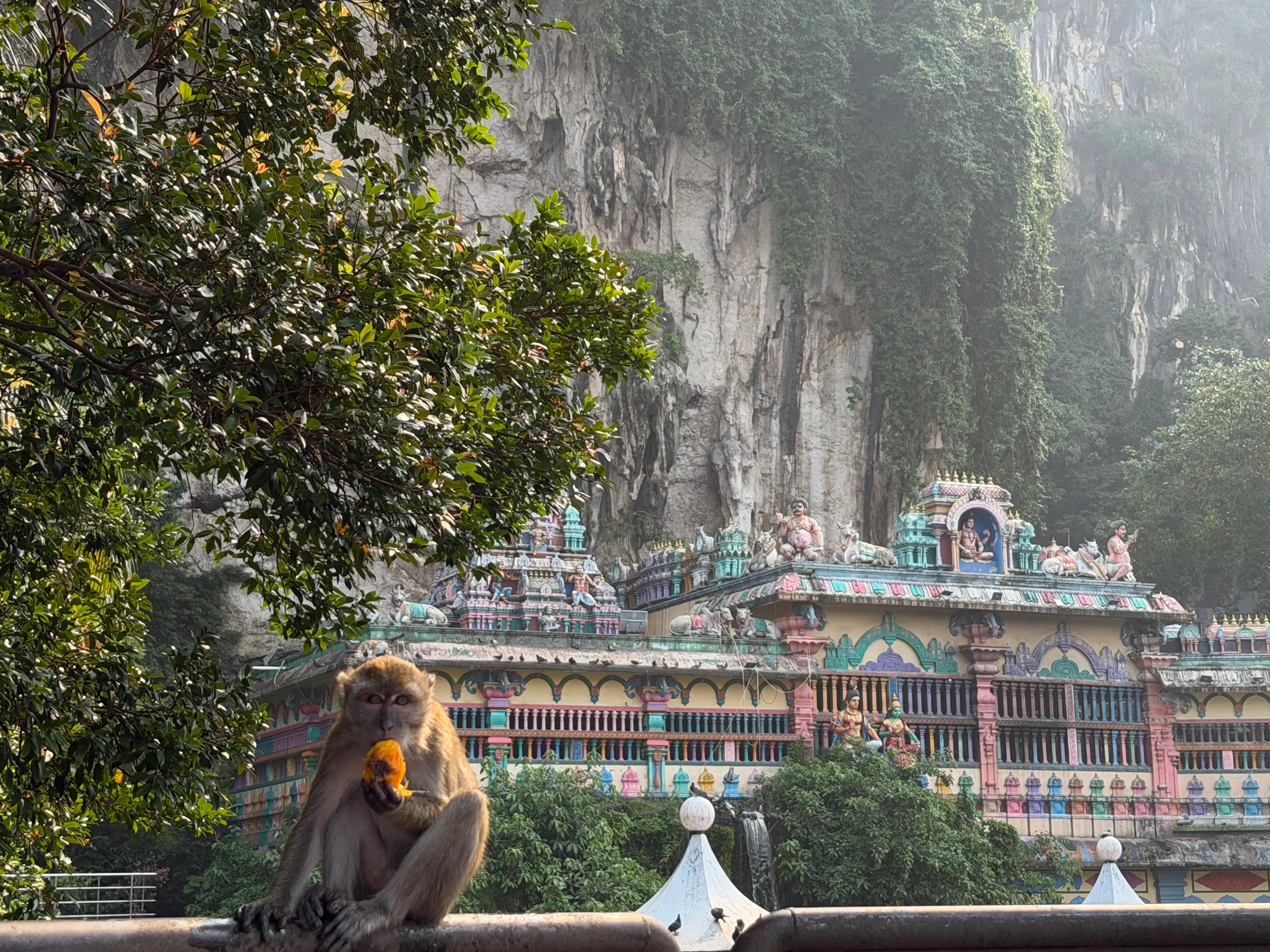 A monkey eating fruit in front of a temple