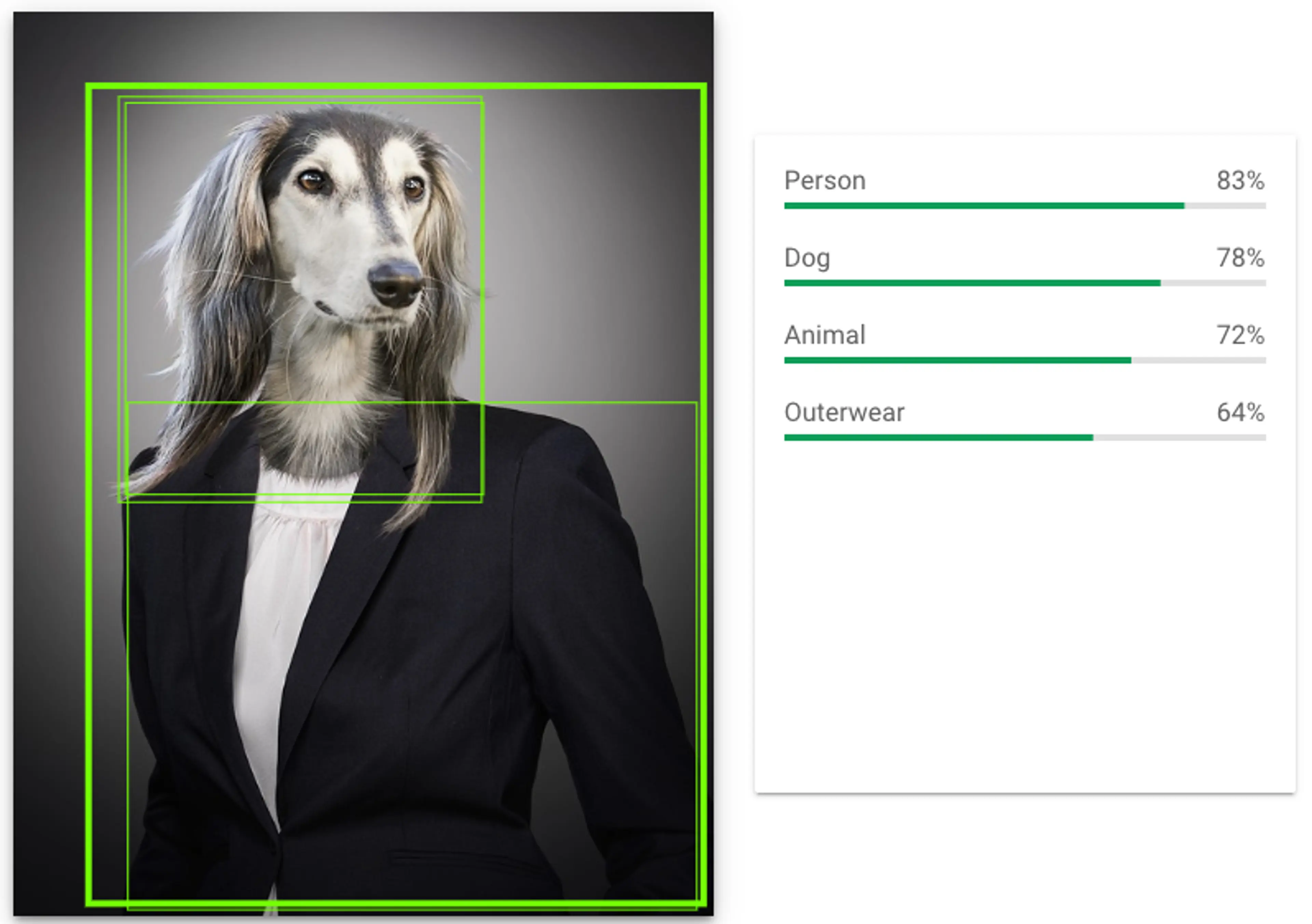 Teaching AI that the image is more of a person than a dog