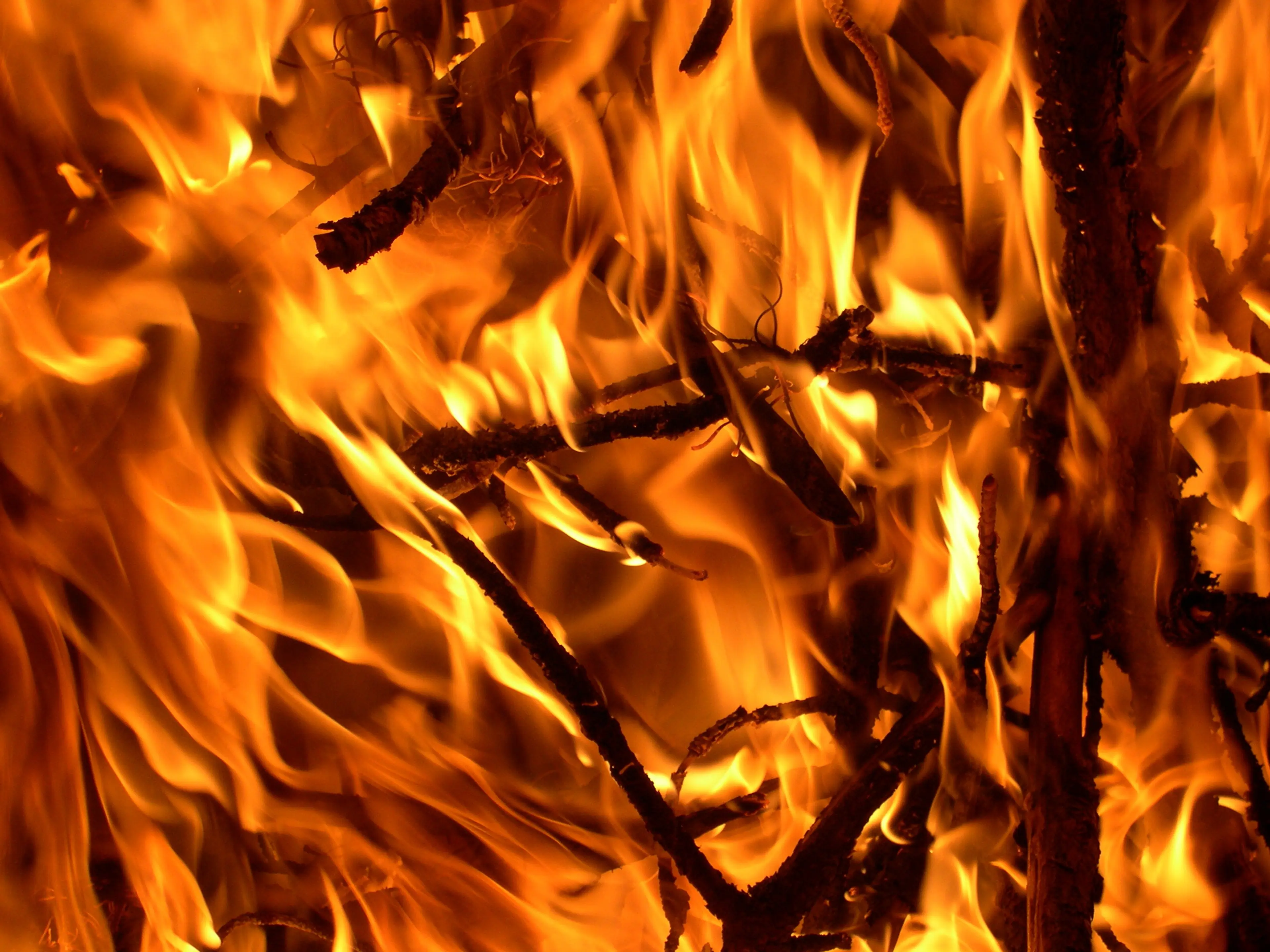 Twigs burning in a large fire