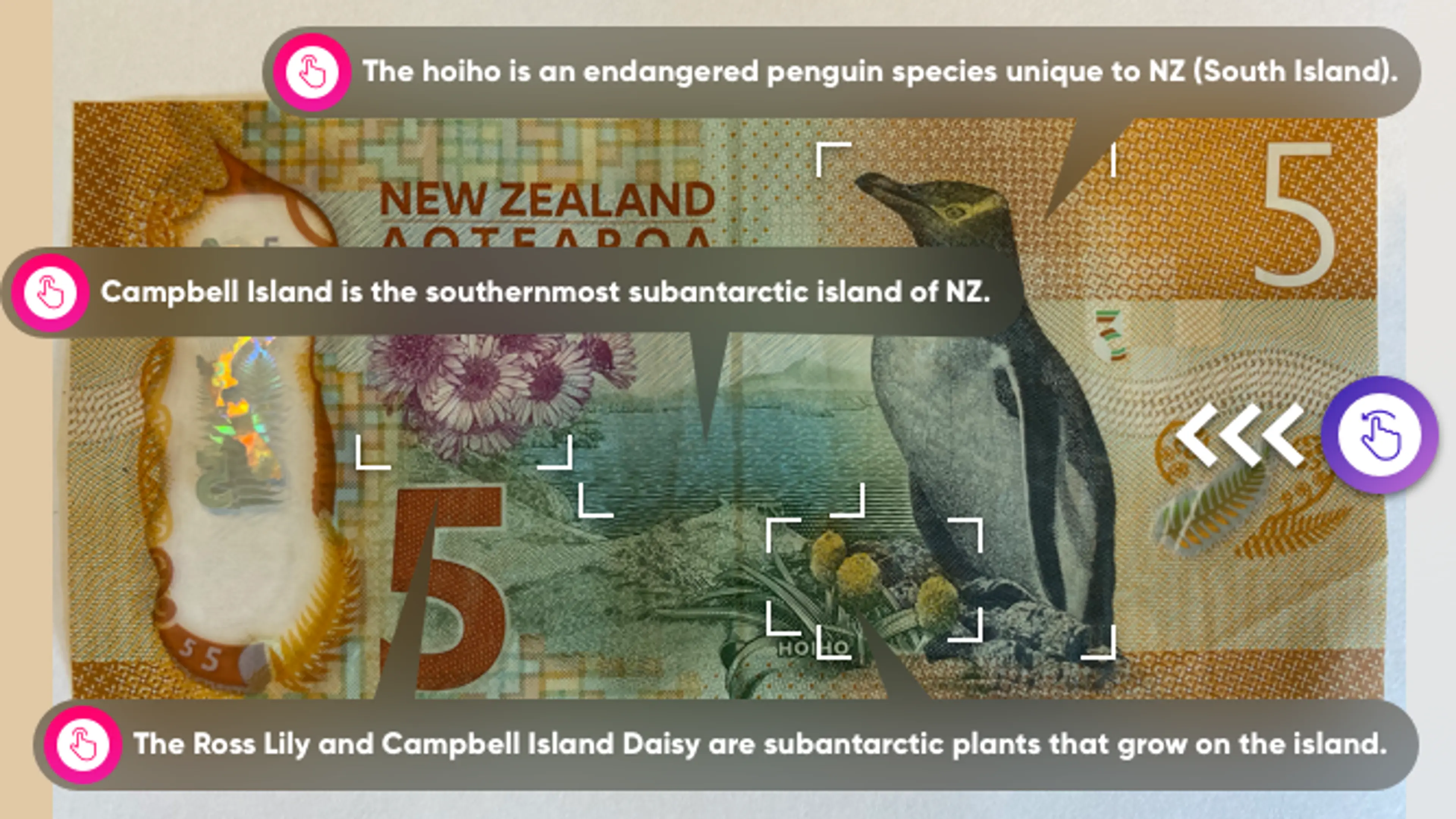 Using AR to analyse the NZ $5 note