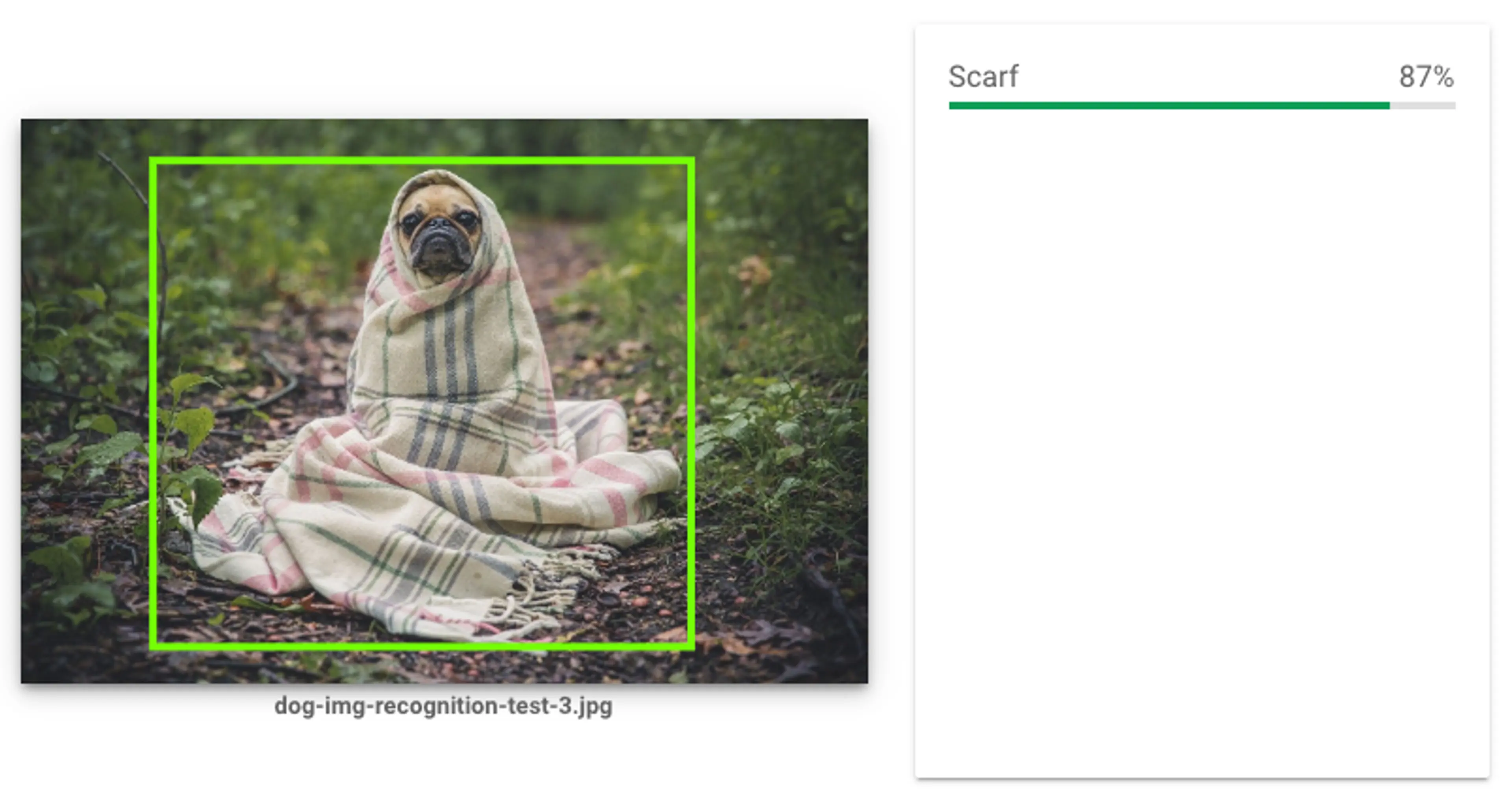 Dog wrapped in a blanket