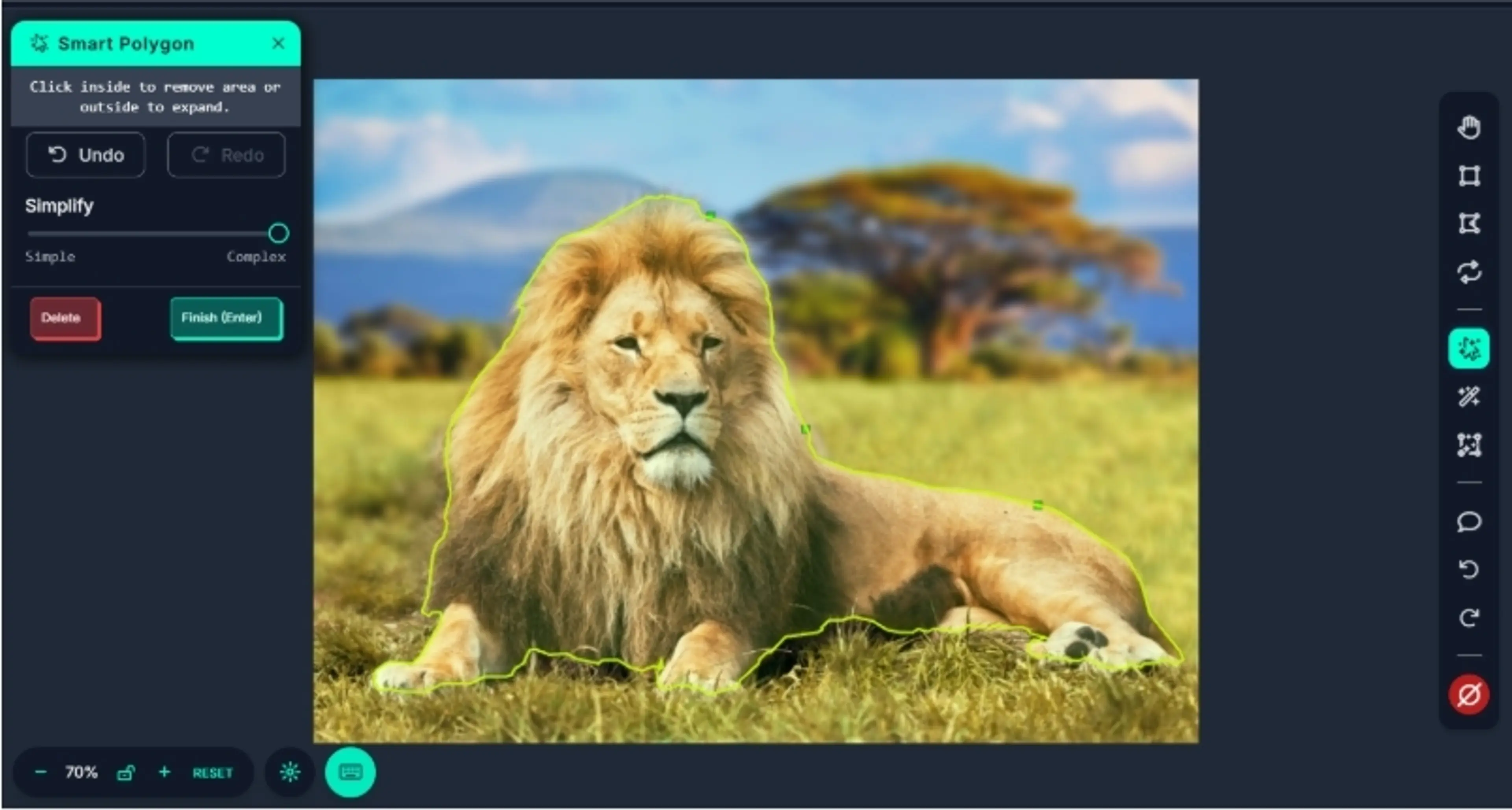 Screen showing the drawing of a polygon around a lion.