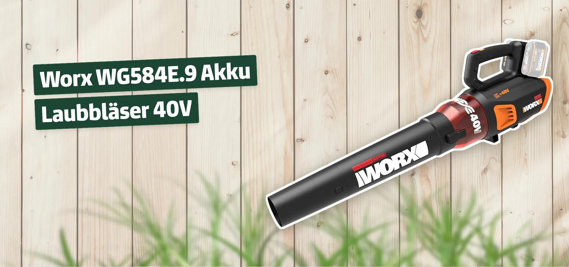 Worx WG584E.9 Akku Laubbläser 40V Testbericht & Erfahrungen