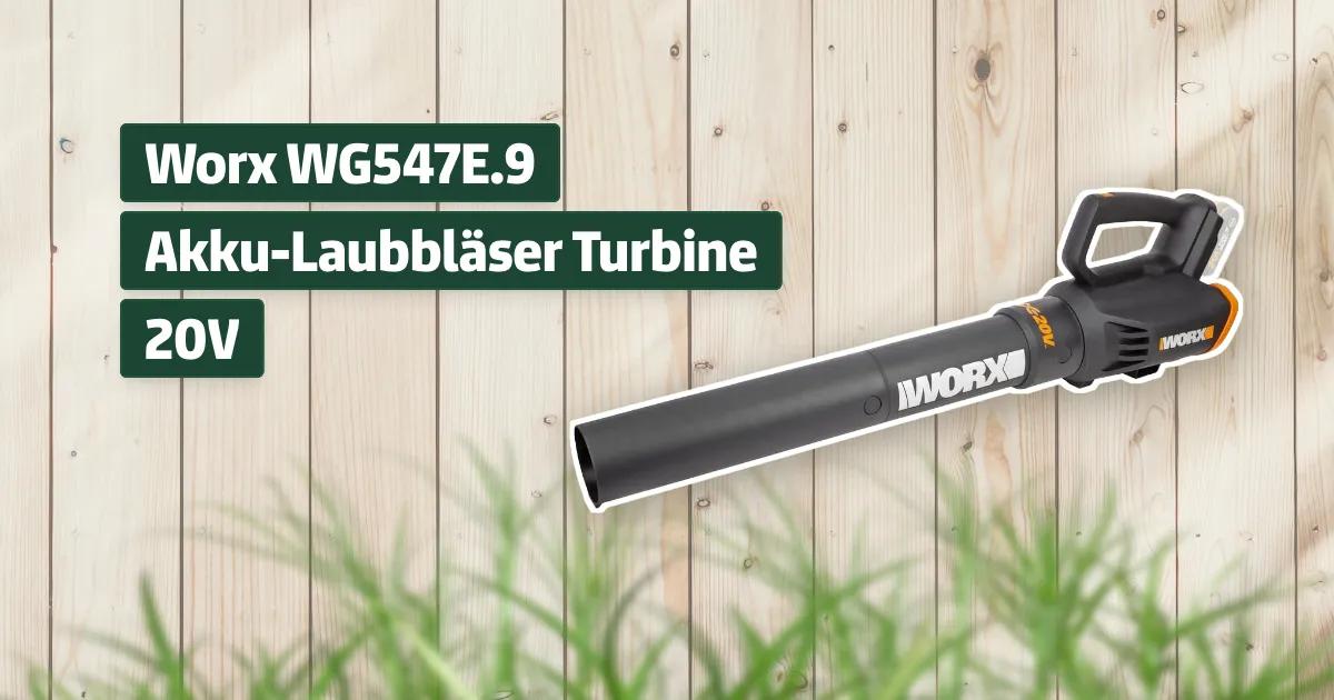Worx WG547E.9 AkkuLaubbläser Turbine 20V Testbericht & Erfahrungen