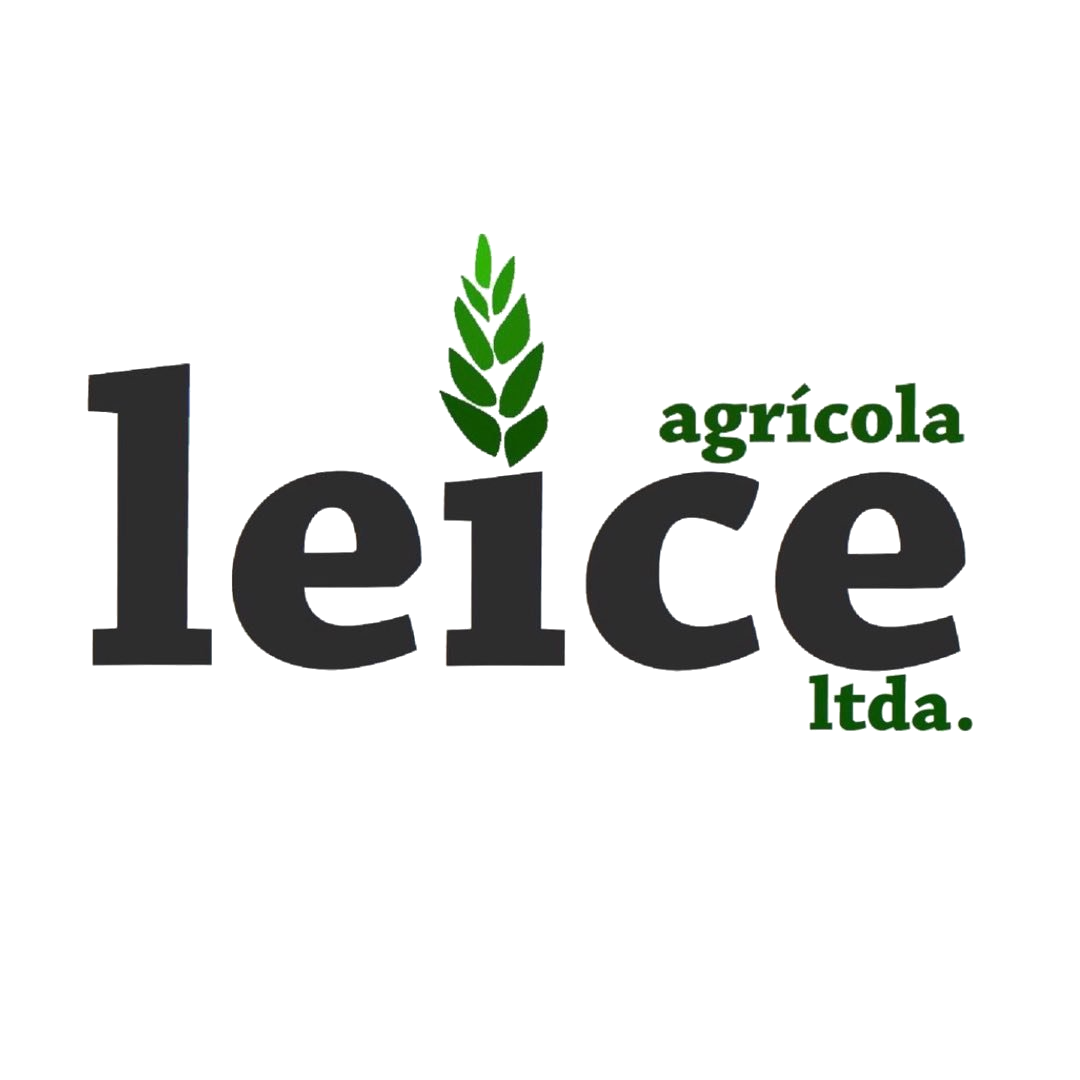 Leice