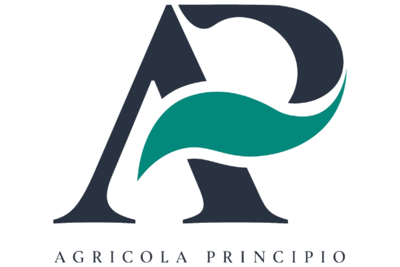 Principio