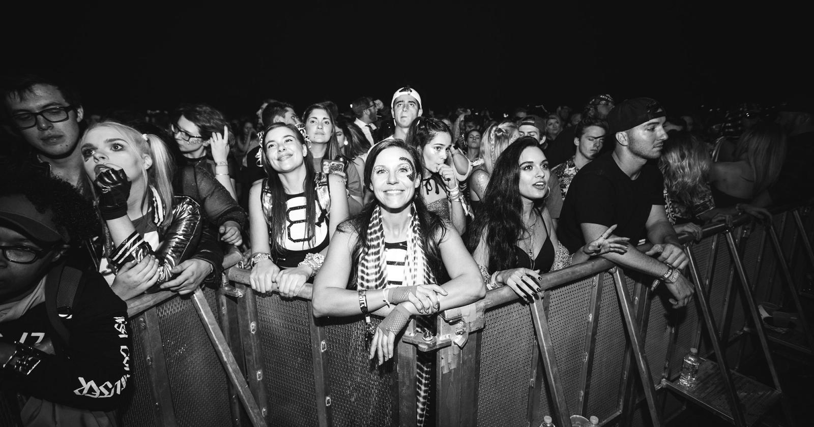 fans at a concert