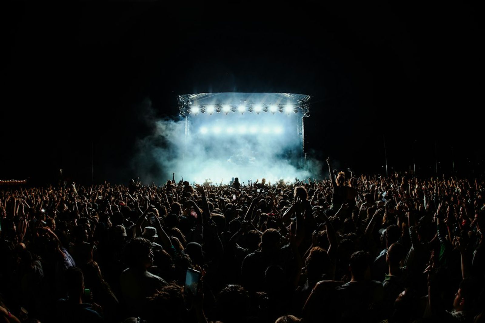 large crowd of people at a concert